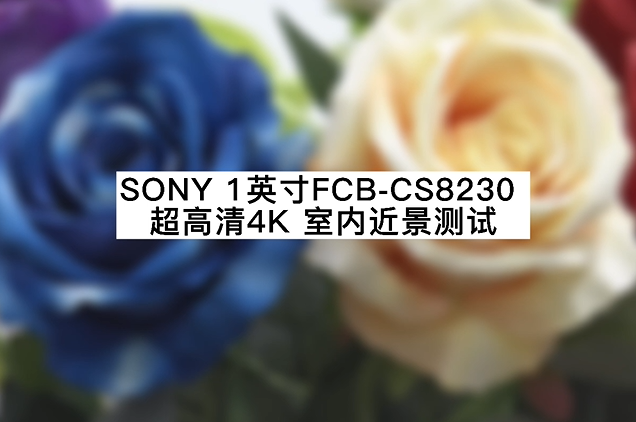 超高清4K 12倍光學室內(nèi)近景測試